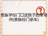 贵族学校门口送孩子的车亳州(贵族校门豪车)