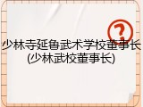 少林寺延鲁武术学校董事长(少林武校董事长)
