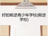 好的叛逆青少年学校(叛逆学校)