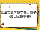 嵩山文武学校学费大概多少(嵩山武校学费)