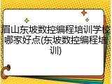 眉山东坡数控编程培训学校哪家好点(东坡数控编程培训)
