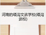 河南的塔沟文武学校(塔沟武校)