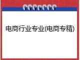 电商行业专业(电商专精)
