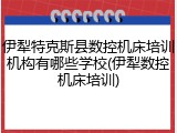 伊犁特克斯县数控机床培训机构有哪些学校(伊犁数控机床培训)