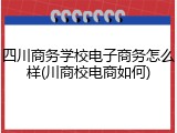 四川商务学校电子商务怎么样(川商校电商如何)