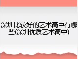 深圳比较好的艺术高中有哪些(深圳优质艺术高中)