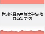 株洲攸县高中复读学校(攸县高复学校)