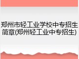 郑州市轻工业学校中专招生简章(郑州轻工业中专招生)