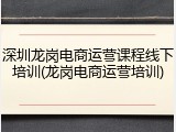 深圳龙岗电商运营课程线下培训(龙岗电商运营培训)