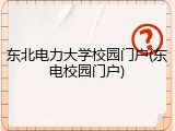 东北电力大学校园门户(东电校园门户)