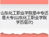 山东化工职业学院是中专还是大专(山东化工职业学院学历层次)
