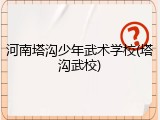 河南塔沟少年武术学校(塔沟武校)