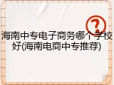 海南中专电子商务哪个学校好(海南电商中专推荐)