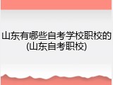 山东有哪些自考学校职校的(山东自考职校)