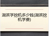 湖滨学挖机多少钱(湖滨挖机学费)