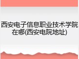 西安电子信息职业技术学院在哪(西安电院地址)