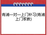 青浦一对一上门补习(青浦上门家教)