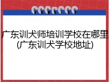 广东训犬师培训学校在哪里(广东训犬学校地址)