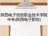 陕西电子信息职业技术学院中专(陕西电子职校)
