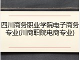 四川商务职业学院电子商务专业(川商职院电商专业)
