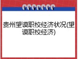 贵州望谟职校经济状况(望谟职校经济)