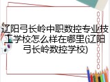 辽阳弓长岭中职数控专业技工学校怎么样在哪里(辽阳弓长岭数控学校)