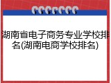 湖南省电子商务专业学校排名(湖南电商学校排名)