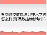 鹰潭数控维修培训技术学校怎么样(鹰潭数控维修培训)