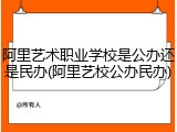 阿里艺术职业学校是公办还是民办(阿里艺校公办民办)