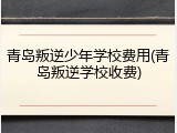 青岛叛逆少年学校费用(青岛叛逆学校收费)