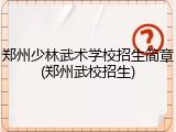 郑州少林武术学校招生简章(郑州武校招生)