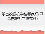 翠峦挖掘机学校哪家好(翠峦挖掘机学校推荐)