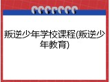 叛逆少年学校课程(叛逆少年教育)