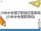 少林中专属于职高还是普高(少林中专是职高吗)