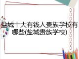 盐城十大有钱人贵族学校有哪些(盐城贵族学校)