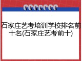 石家庄艺考培训学校排名前十名(石家庄艺考前十)