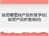 哈密哪里找产后恢复学校(哈密产后恢复培训)