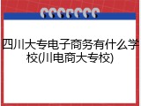 四川大专电子商务有什么学校(川电商大专校)