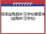 菏泽定陶县补习学校哪里有(定陶补习学校)