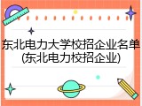 东北电力大学校招企业名单(东北电力校招企业)