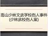 嵩山少林文武学校伤人事件(少林武校伤人案)