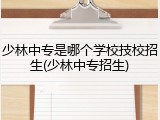 少林中专是哪个学校技校招生(少林中专招生)
