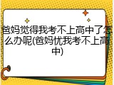 爸妈觉得我考不上高中了怎么办呢(爸妈忧我考不上高中)