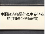 中职经济师是什么中专毕业的(中职经济师资格)