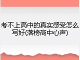 考不上高中的真实感受怎么写好(落榜高中心声)