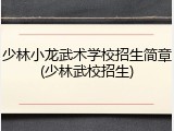 少林小龙武术学校招生简章(少林武校招生)
