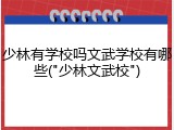 少林有学校吗文武学校有哪些("少林文武校")