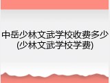 中岳少林文武学校收费多少(少林文武学校学费)