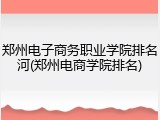 郑州电子商务职业学院排名河(郑州电商学院排名)