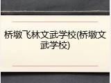 桥墩飞林文武学校(桥墩文武学校)